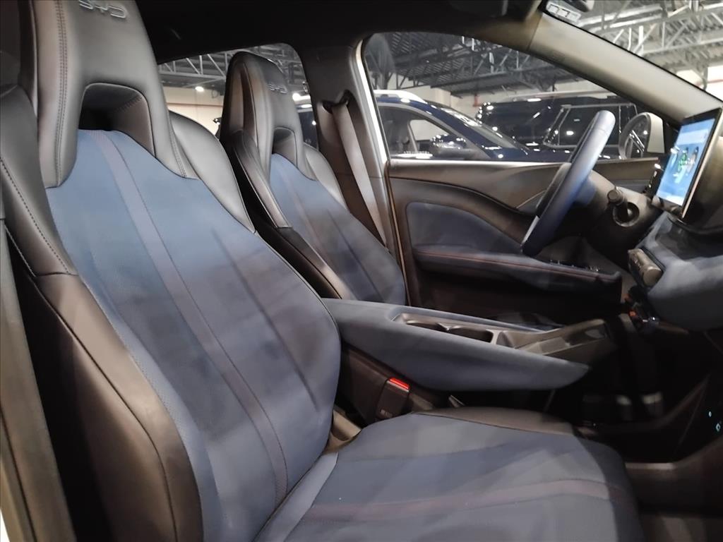 DOLPHIN MINI 38 KW ELÉTRICO 5L11