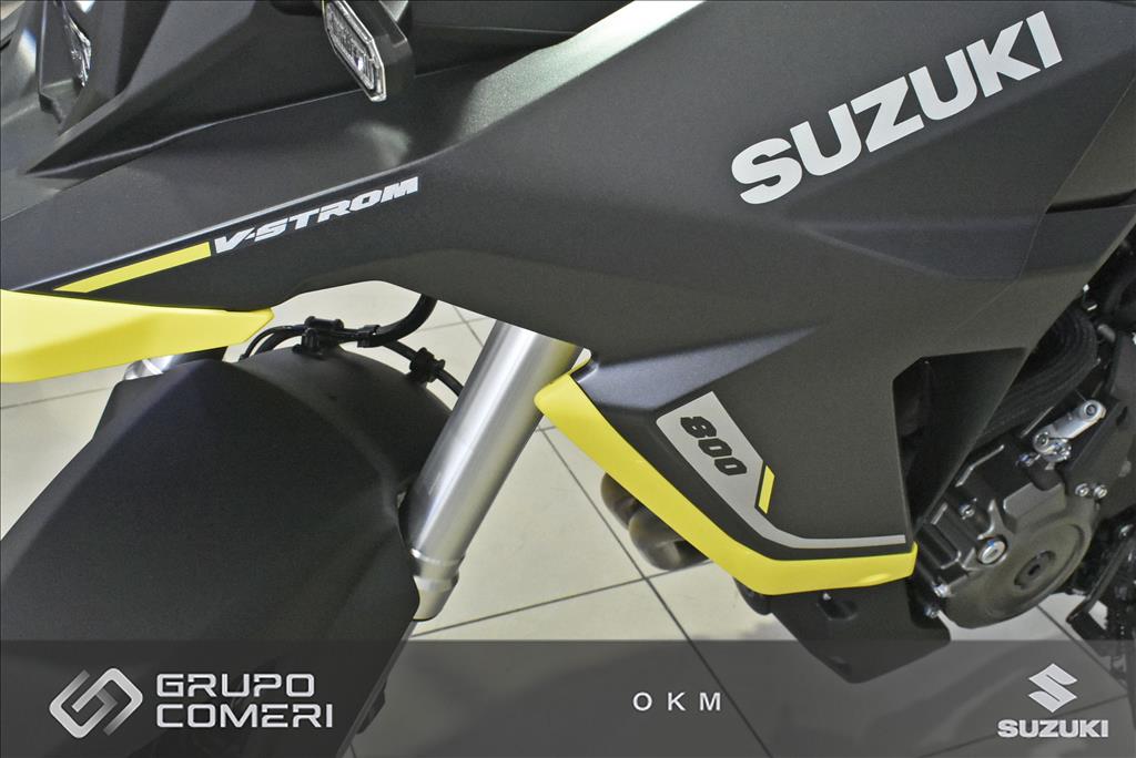 V-STROM 8009