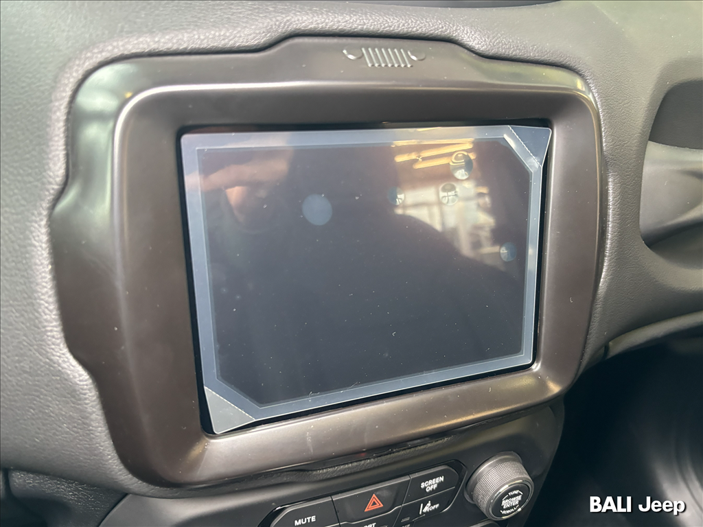 RENEGADE 1.3 T270 TURBO FLEX SAHARA AT610