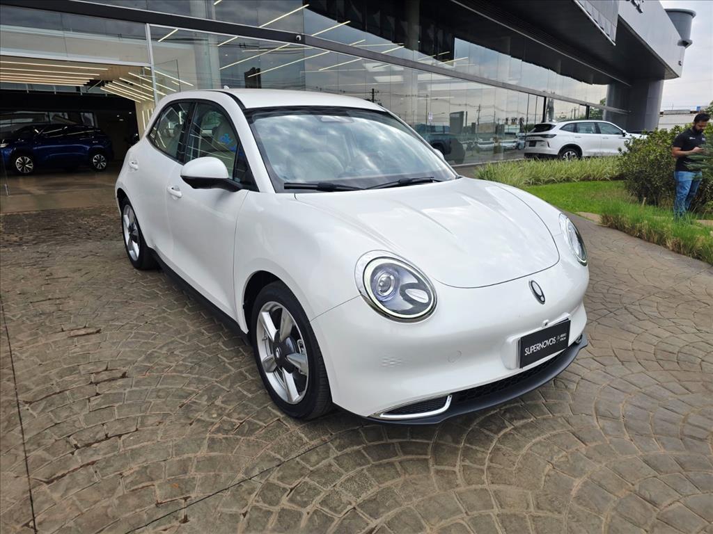 ORA 03 48 KW ELÉTRICO SKIN2