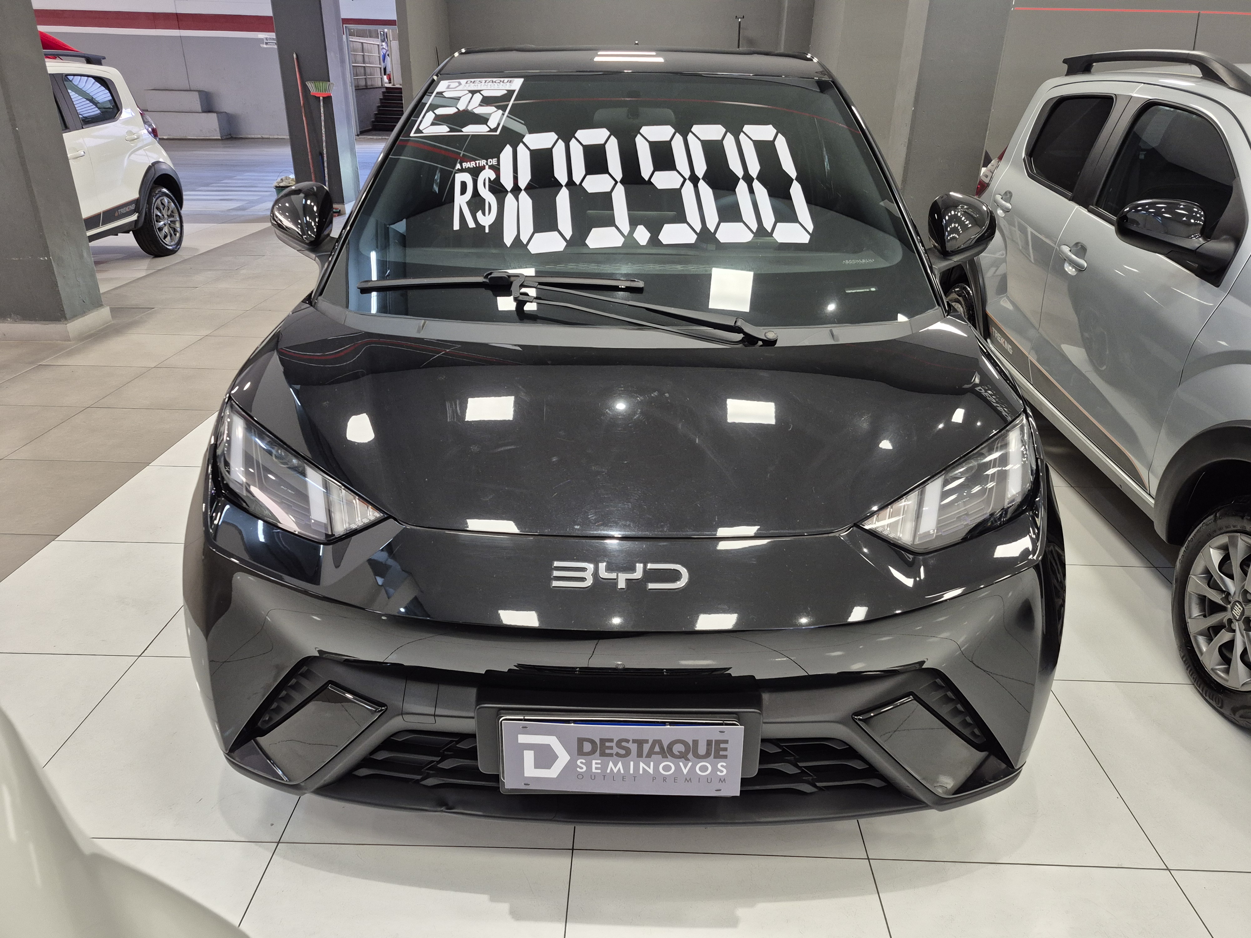 BYD DOLPHIN MINI
