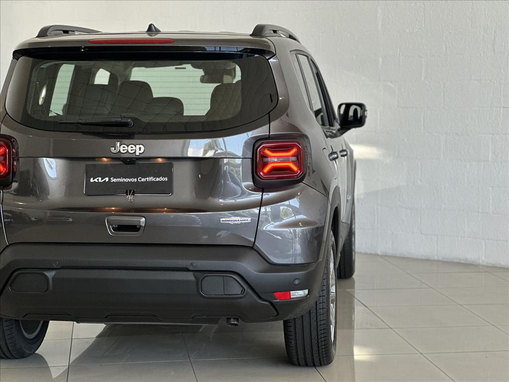 RENEGADE 1.3 T270 TURBO FLEX LONGITUDE AT610