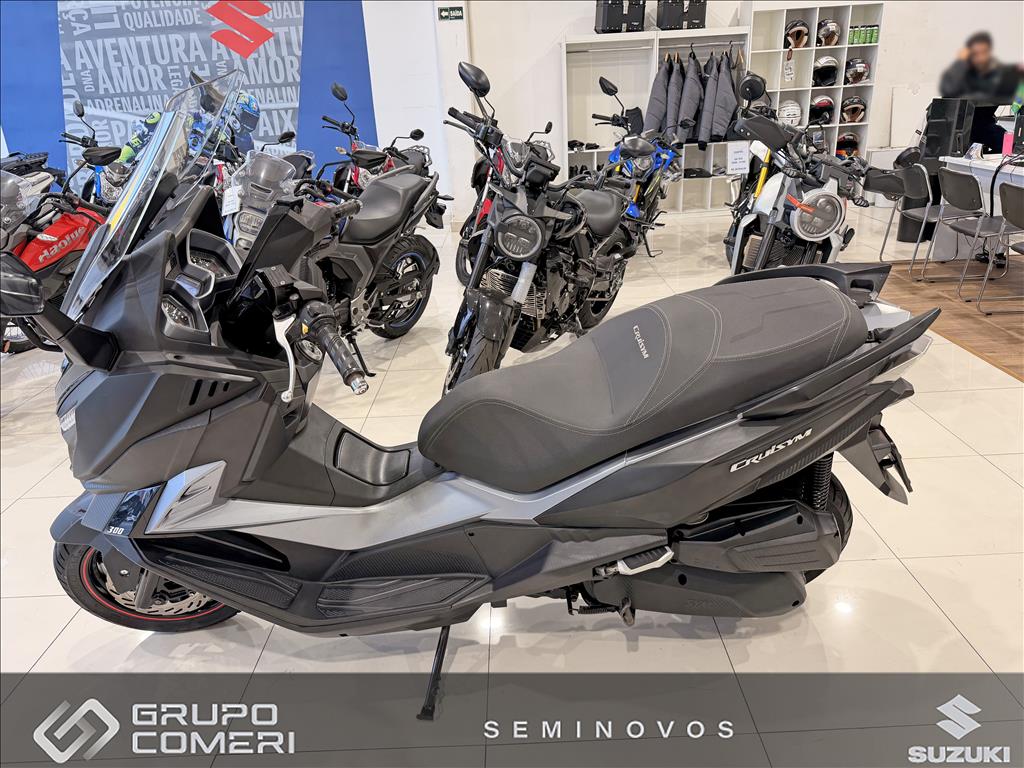 CRUISYM 3006
