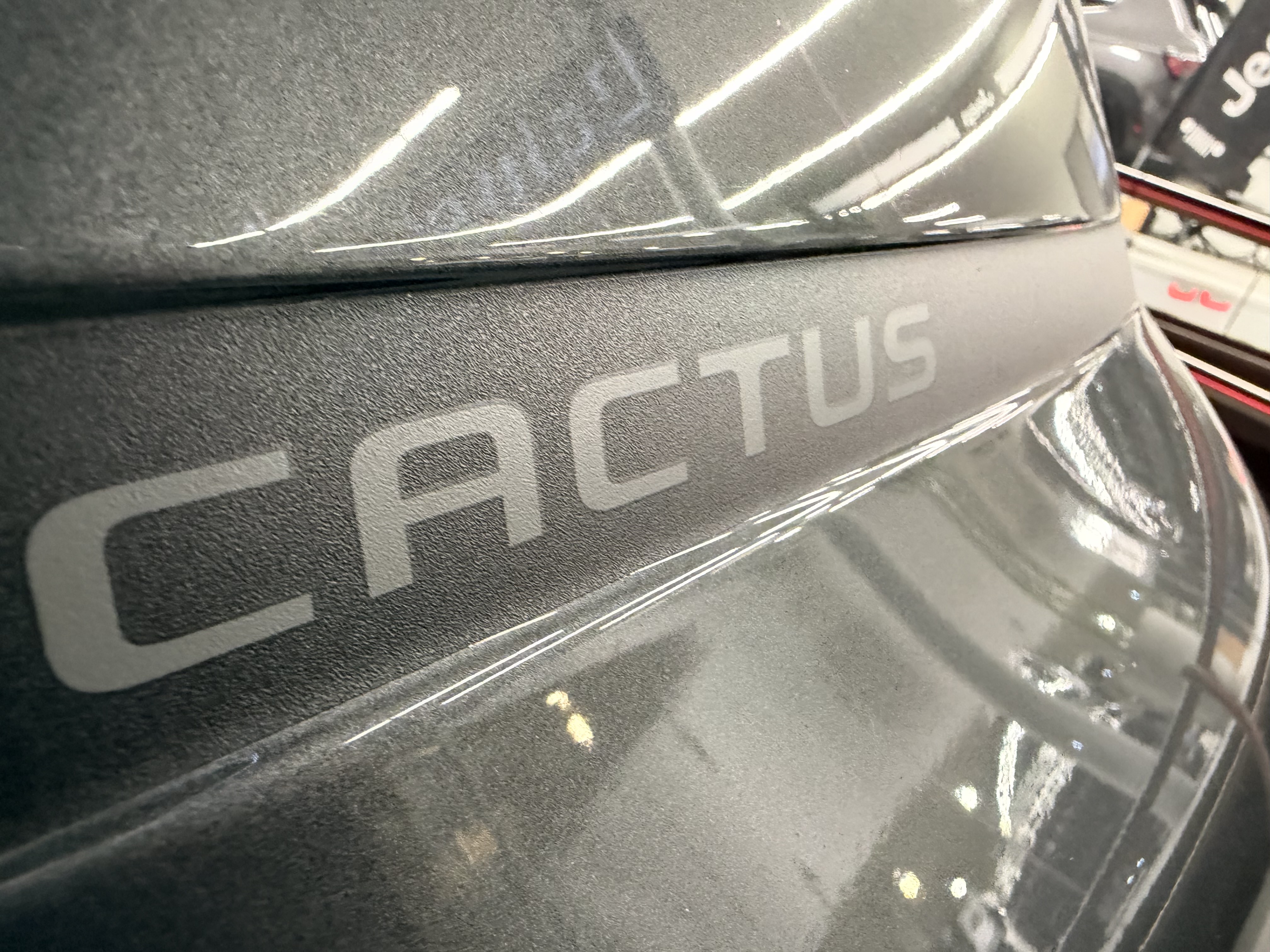 C4 CACTUS 1.6 THP FLEX SHINE PACK EAT69