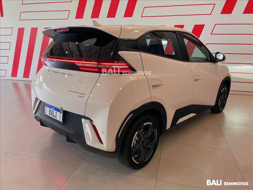 DOLPHIN MINI 38 KW ELÉTRICO3