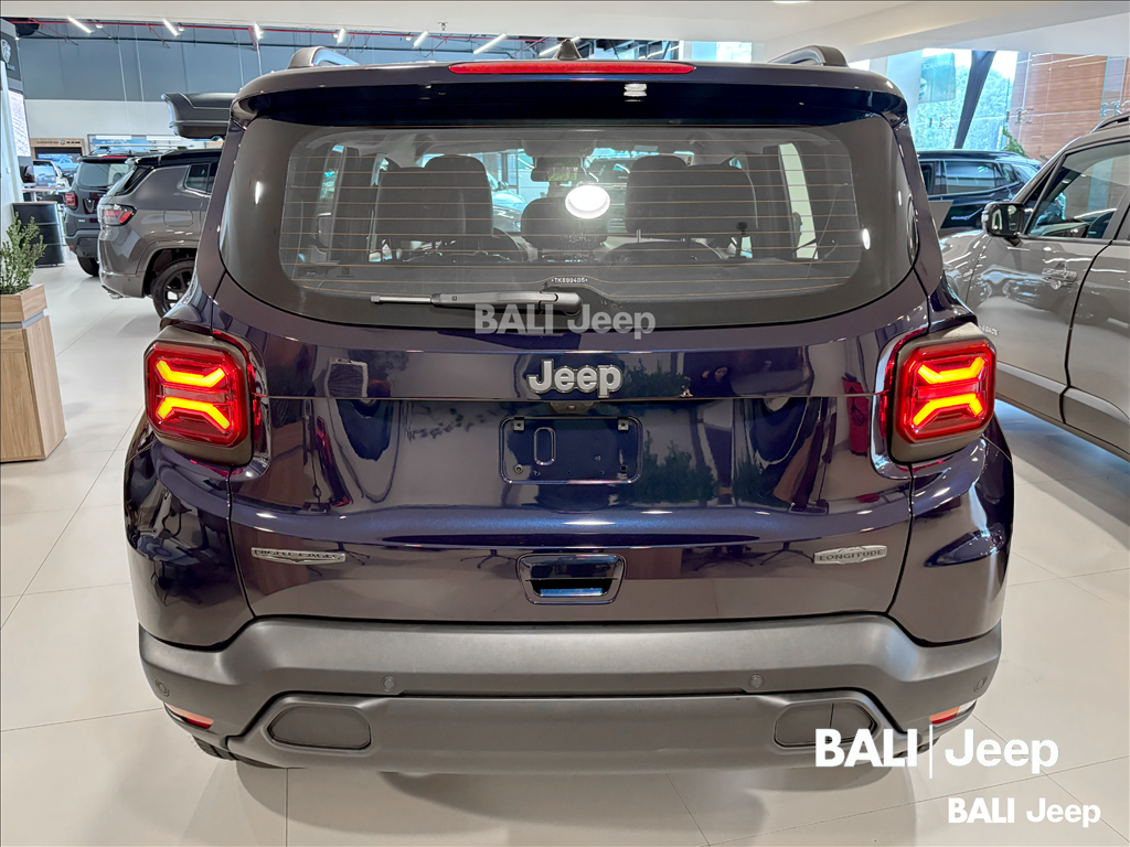 RENEGADE 1.3 T270 TURBO FLEX LONGITUDE AT65