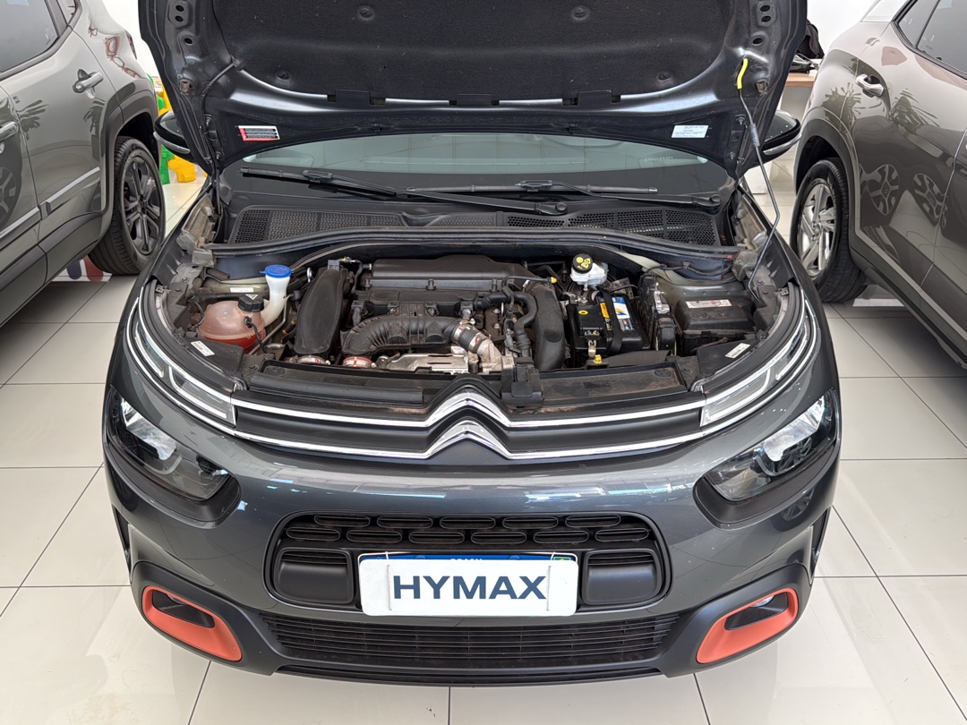 C4 CACTUS 1.6 THP FLEX SHINE PACK EAT613