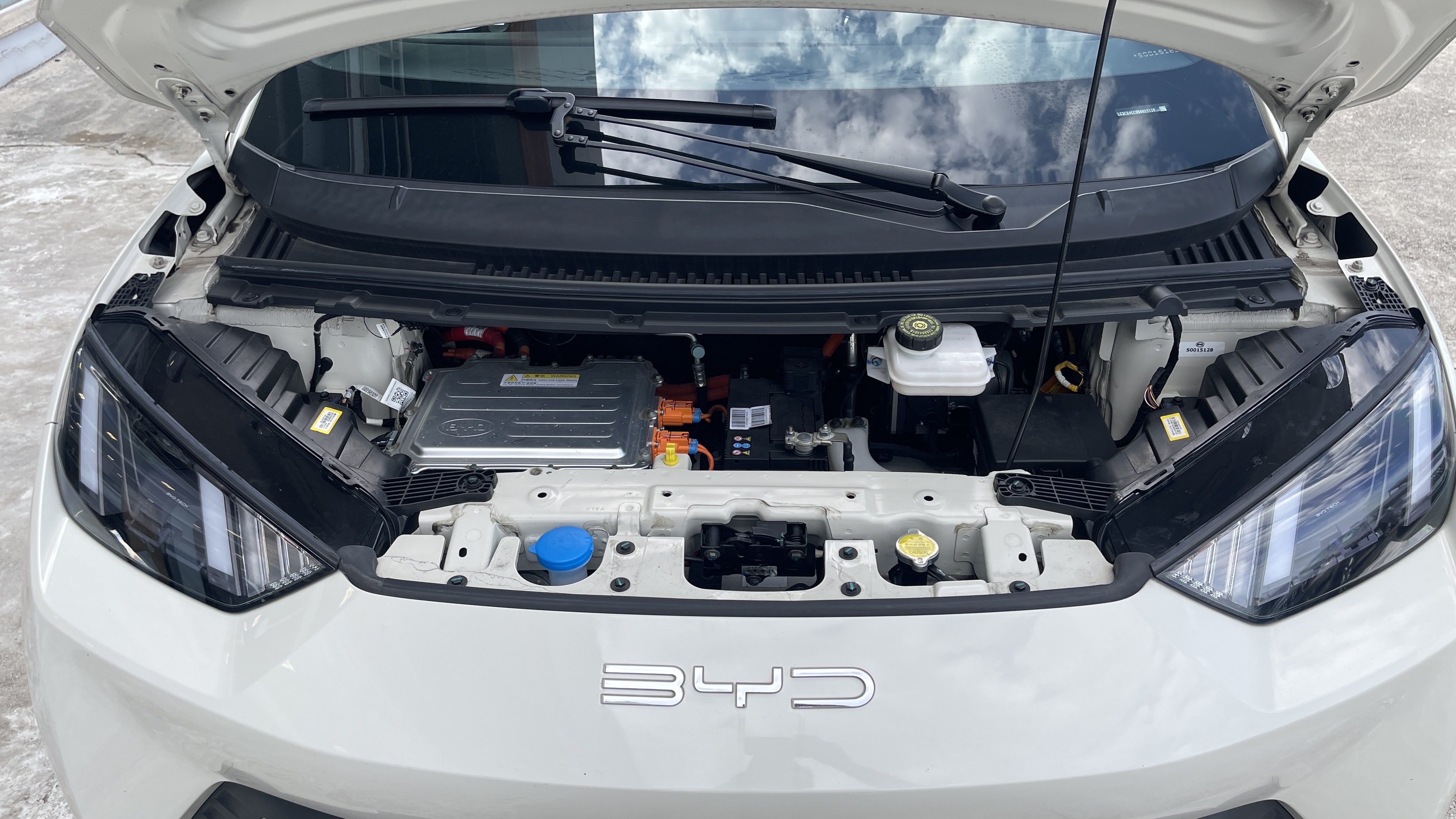 DOLPHIN MINI 38 KW ELÉTRICO8