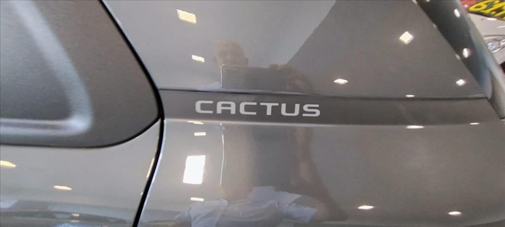 C4 CACTUS 1.6 THP FLEX SHINE EAT6