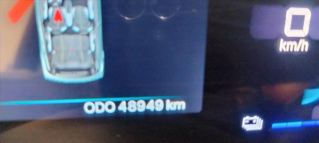 DOLPHIN MINI 38 KW ELÉTRICO14