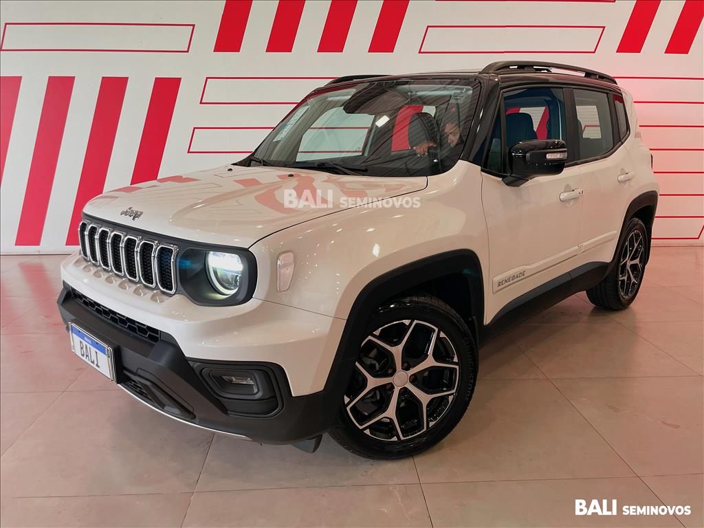 RENEGADE 1.3 T270 TURBO FLEX SAHARA AT61