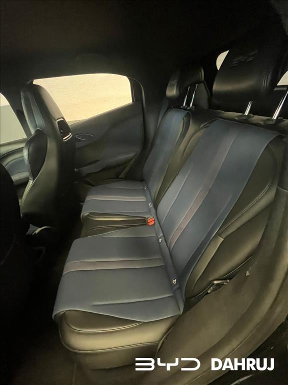 DOLPHIN MINI 38 KW ELÉTRICO9