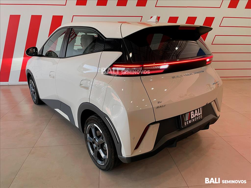 DOLPHIN MINI 38 KW ELÉTRICO7