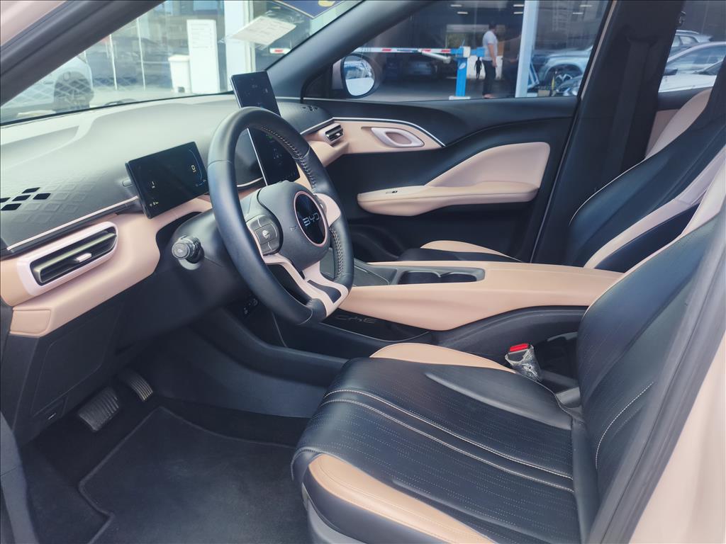 DOLPHIN MINI 38 KW ELÉTRICO7