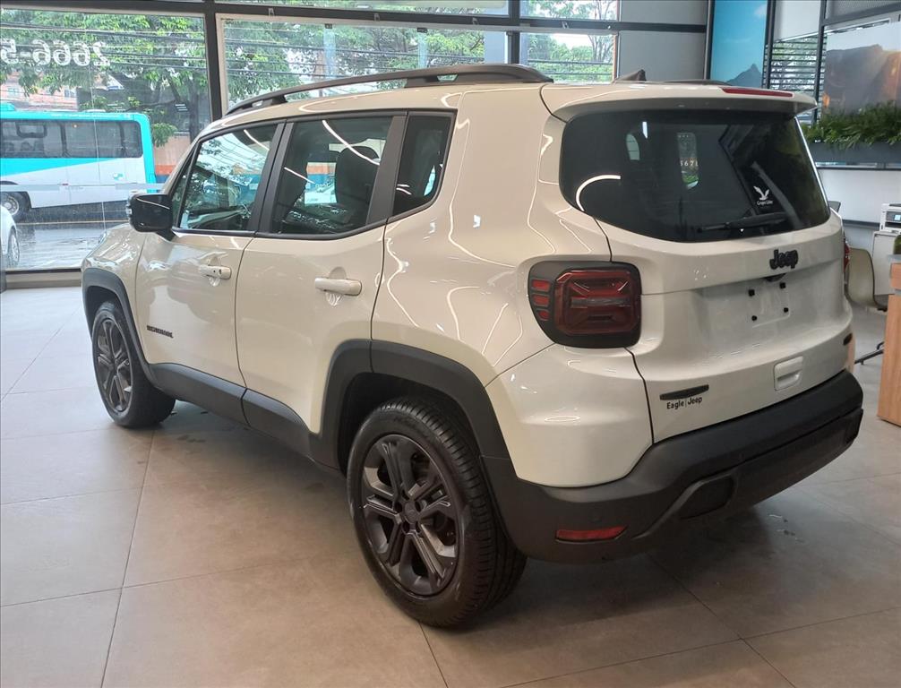 RENEGADE 1.3 T270 TURBO FLEX LONGITUDE AT65