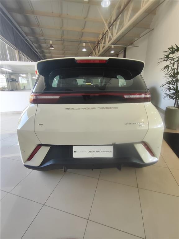 DOLPHIN MINI 38 KW ELÉTRICO5