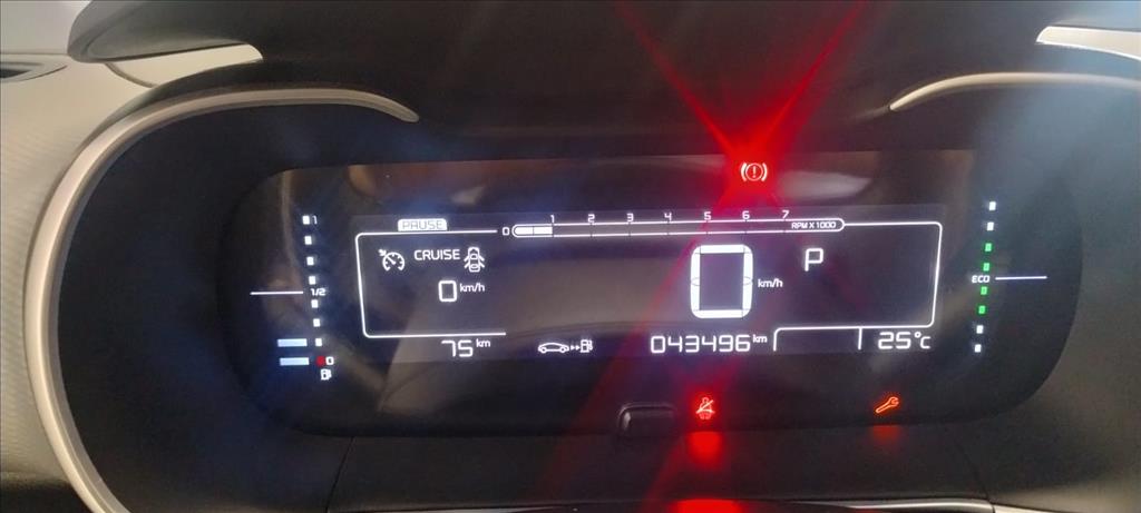 C4 CACTUS 1.6 THP FLEX SHINE PACK EAT68