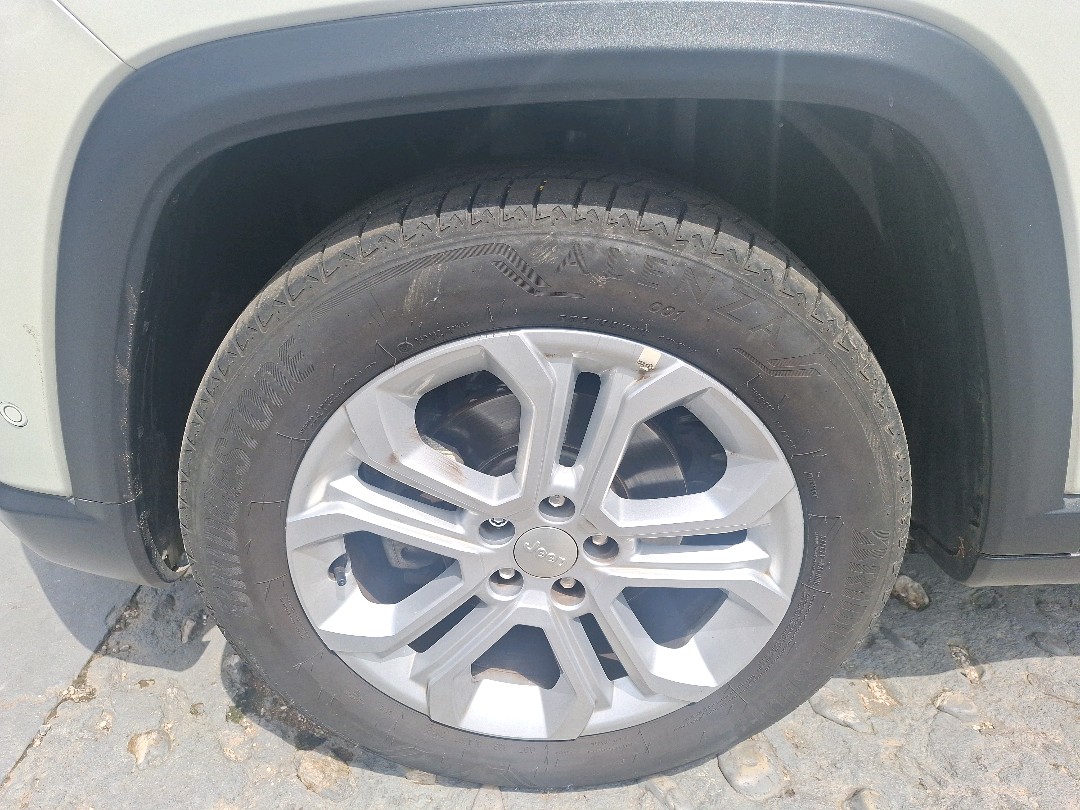 COMMANDER 1.3 T270 TURBO FLEX LONGITUDE AT610