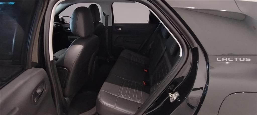 C4 CACTUS 1.6 THP FLEX SHINE PACK EAT610
