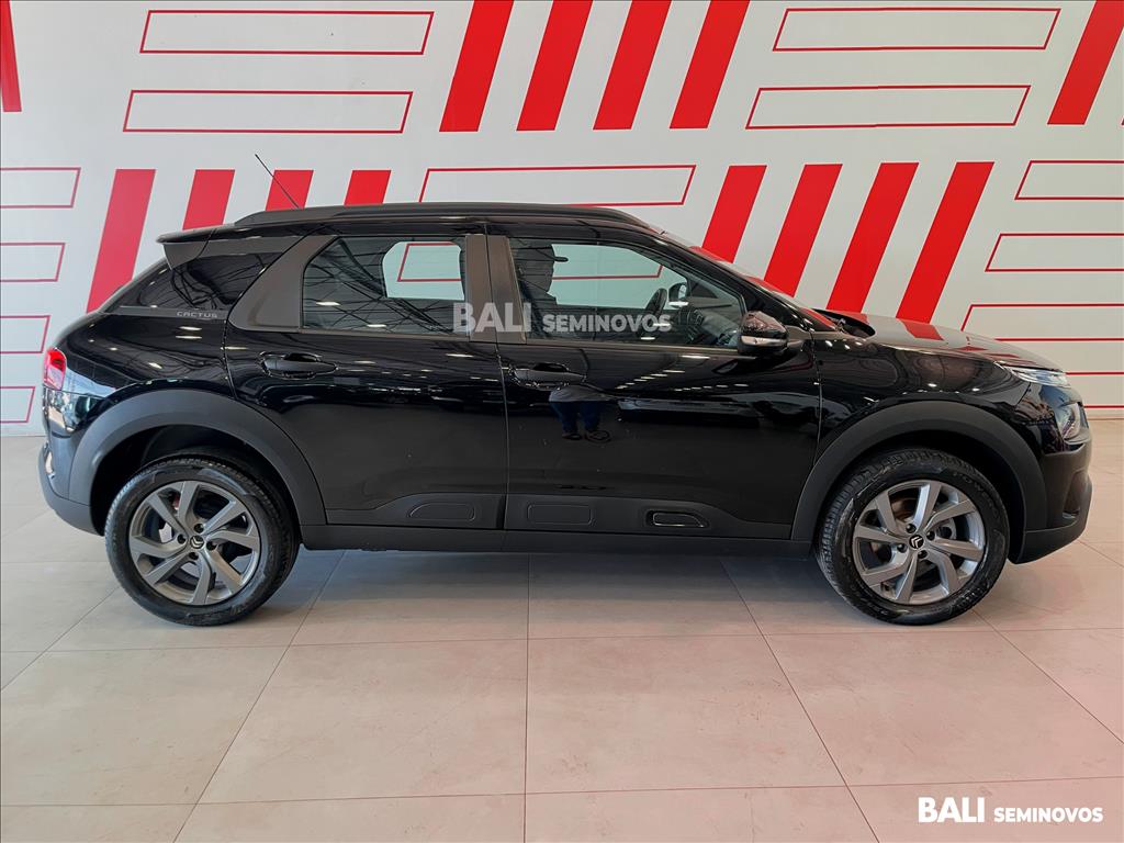 C4 CACTUS 1.6 VTI 120 FLEX FEEL EAT66