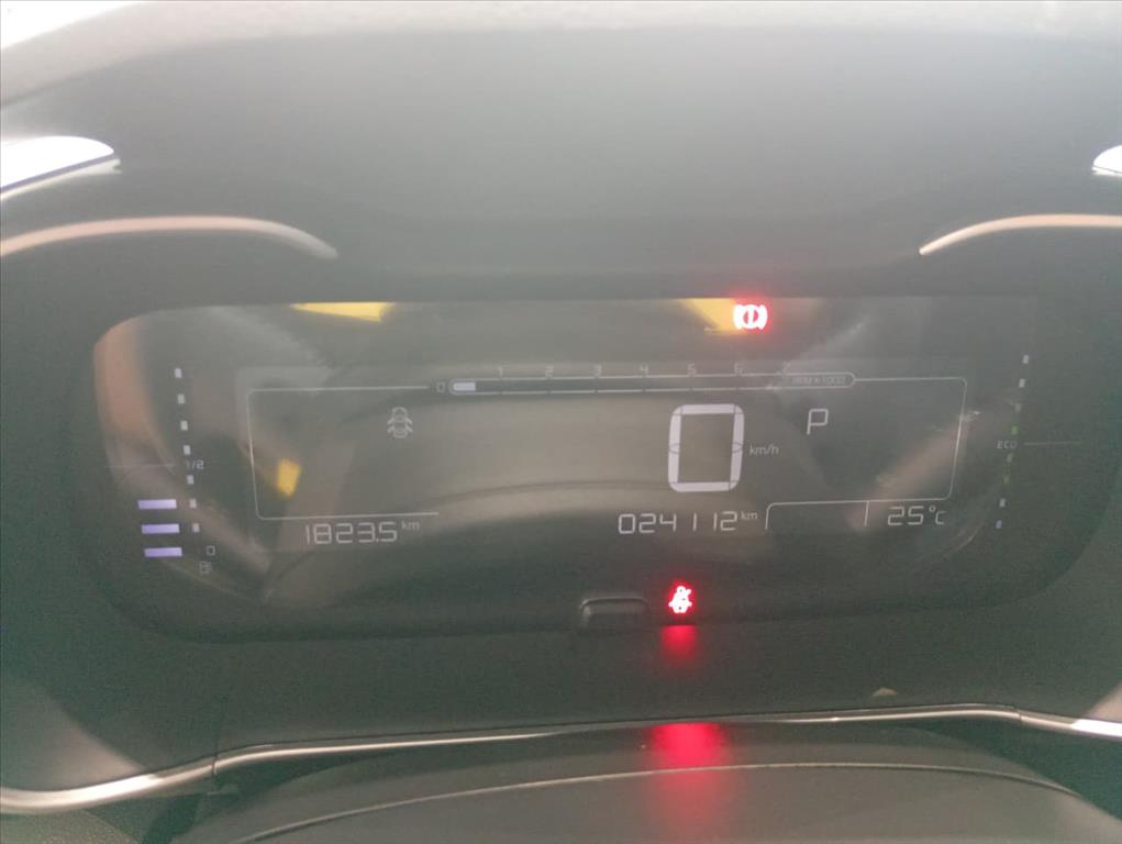 C4 CACTUS 1.6 THP FLEX SHINE PACK EAT610