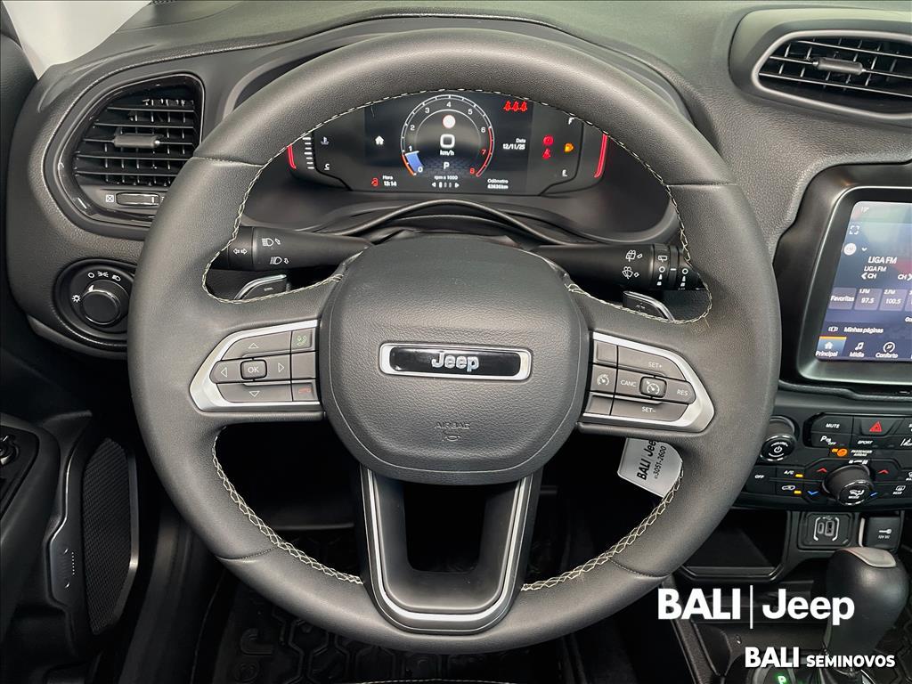 RENEGADE 1.3 T270 TURBO FLEX AT610