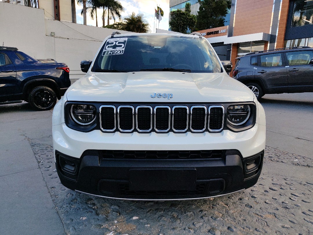 RENEGADE 1.3 T270 TURBO FLEX AT60