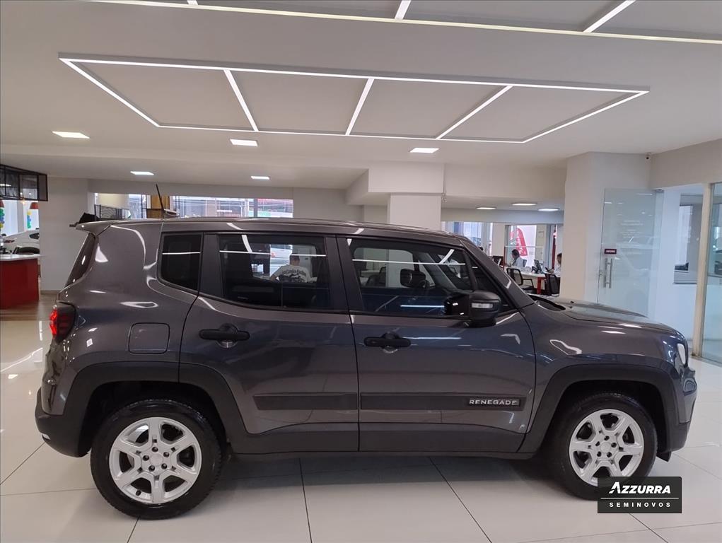 RENEGADE 1.3 T270 TURBO FLEX AT68