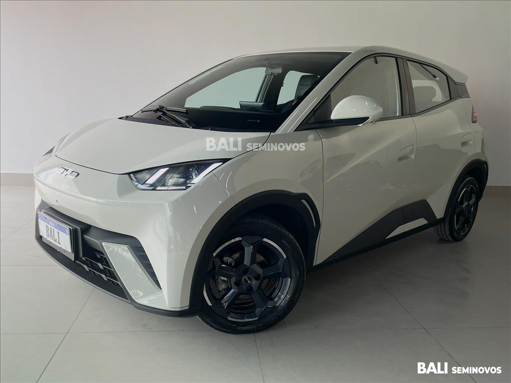 DOLPHIN MINI 38 KW ELÉTRICO 5L1