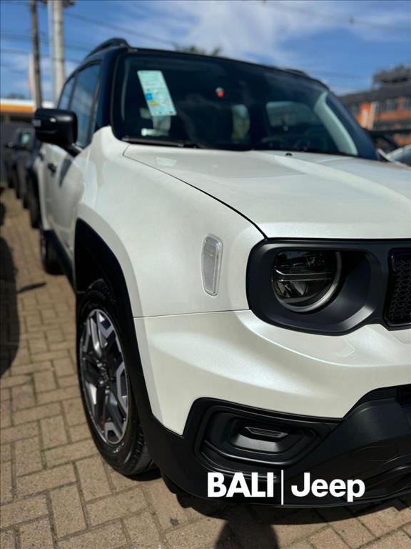 RENEGADE 1.3 T270 TURBO FLEX ALTITUDE AT61