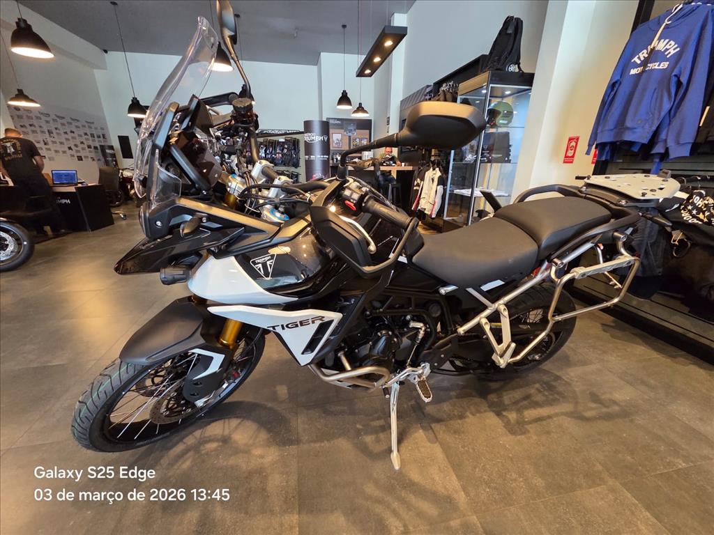 TIGER 900 RALLY PRO1
