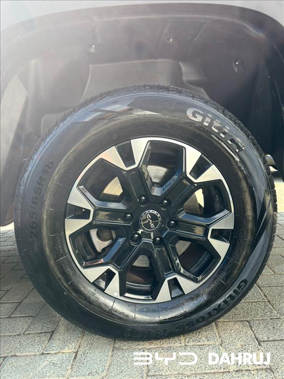 SHARK 1.5 TURBO PHEV GS AWD AUTOMÁTICO10