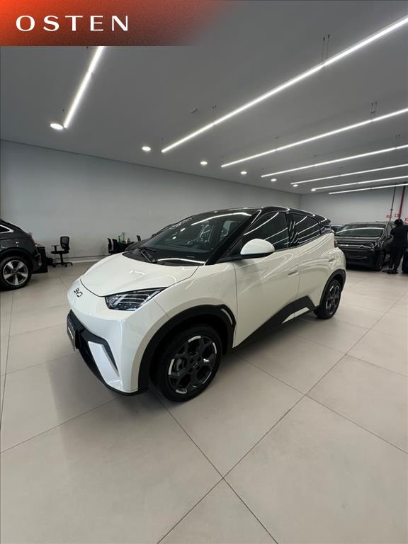 BYD-DOLPHIN MINI-38 KW ELÉTRICO GS