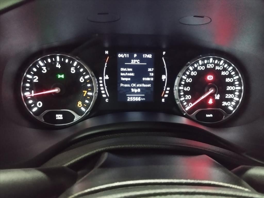 RENEGADE 1.3 T270 TURBO FLEX AT611