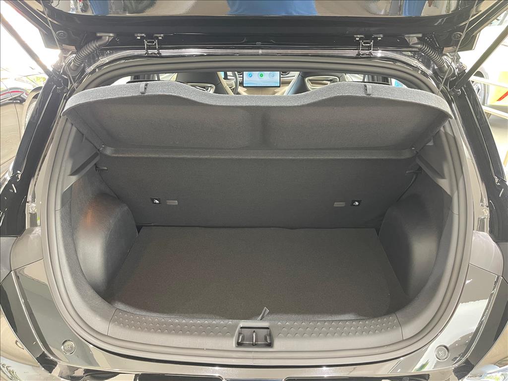 DOLPHIN 44,9 KW ELÉTRICO GS