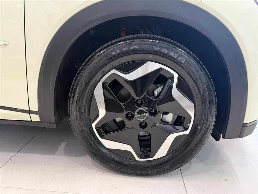 DOLPHIN 44,9 KW ELÉTRICO6