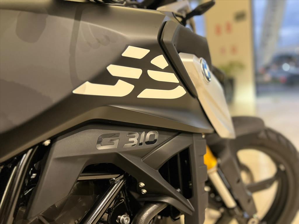G 310 R4