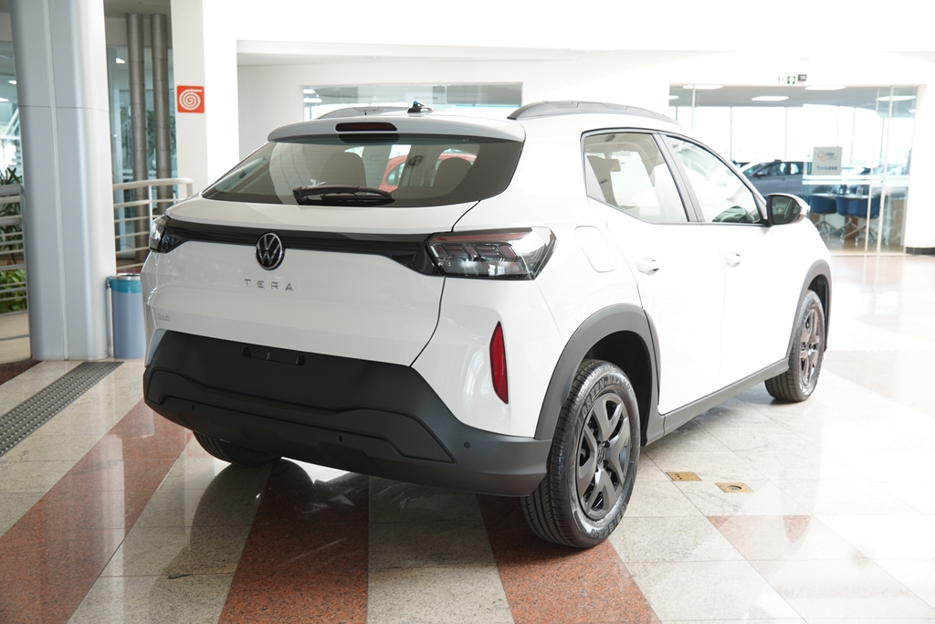 TERA 1.0 MPI MANUAL4