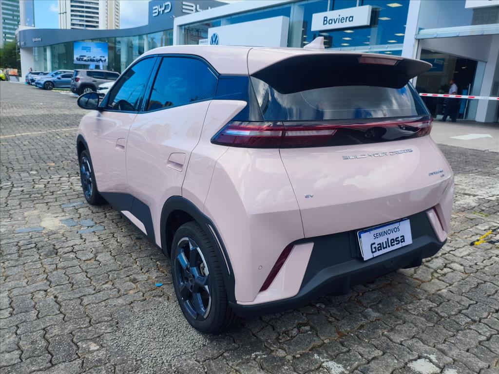 DOLPHIN MINI 38 KW ELÉTRICO 5L3