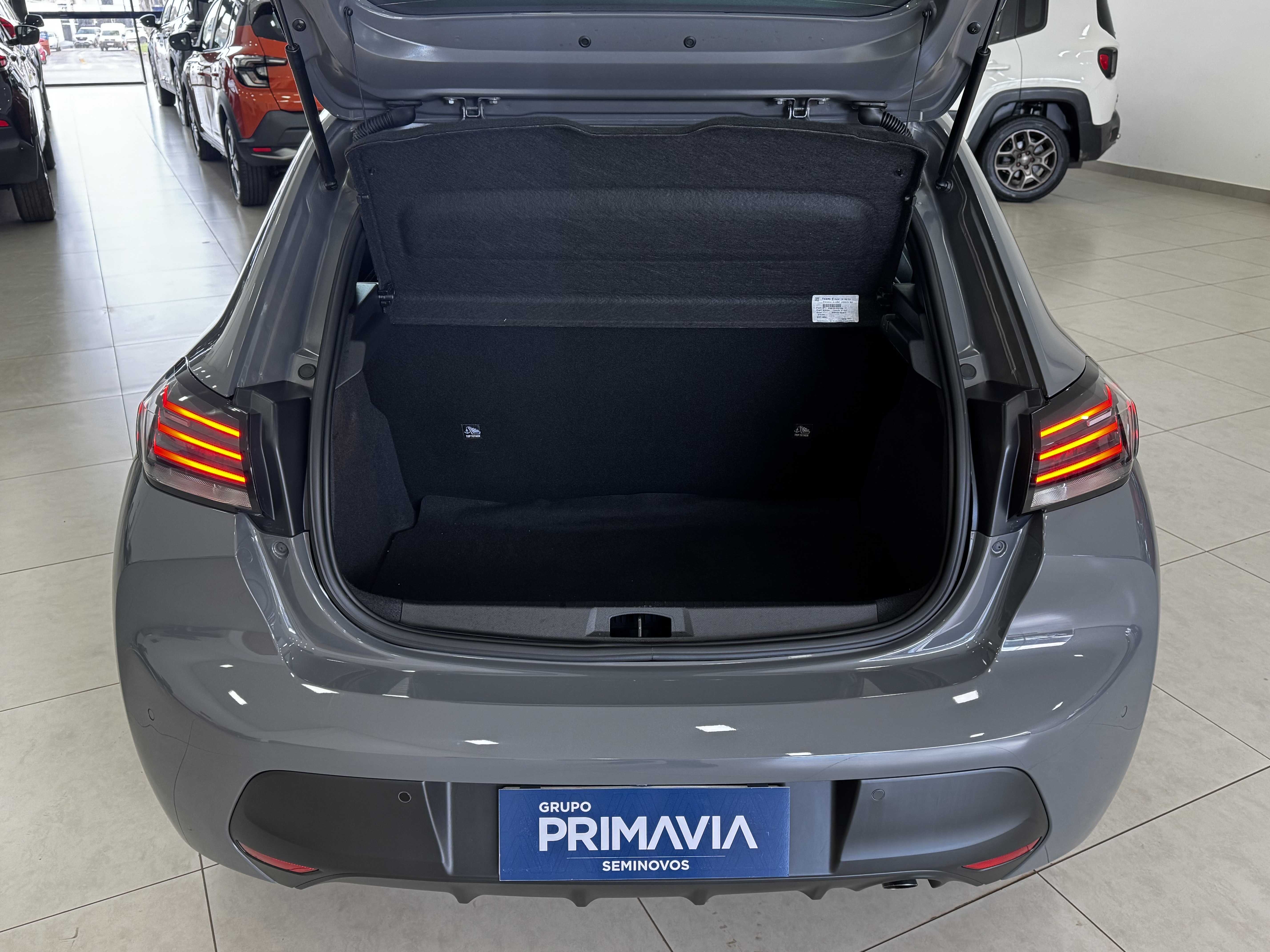 208 1.0 FIREFLY FLEX STYLE MANUAL4