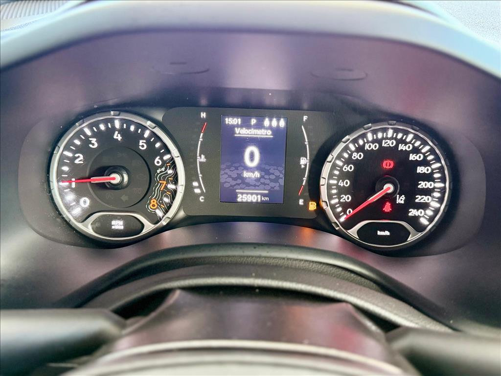 RENEGADE 1.3 T270 TURBO FLEX AT612