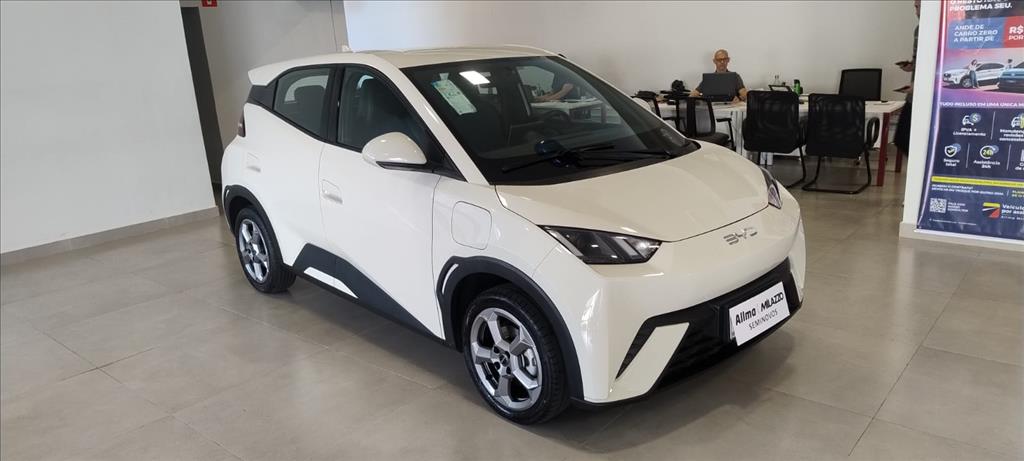 DOLPHIN MINI 38 KW ELÉTRICO0