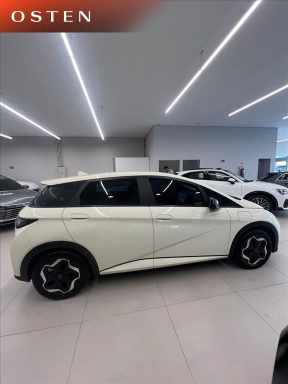 BYD-DOLPHIN-44,9 KW ELÉTRICO