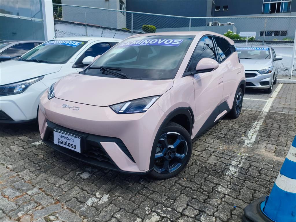 DOLPHIN MINI 38 KW ELÉTRICO 5L1