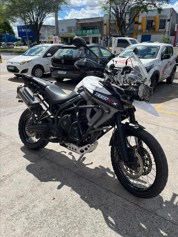 TRIUMPH TIGER