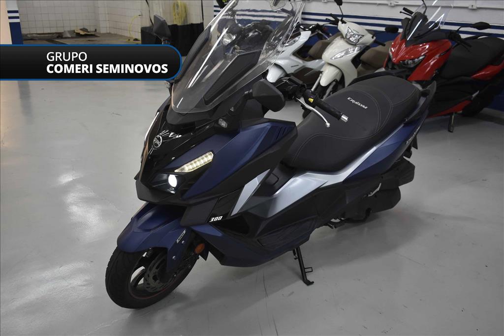 CRUISYM 300