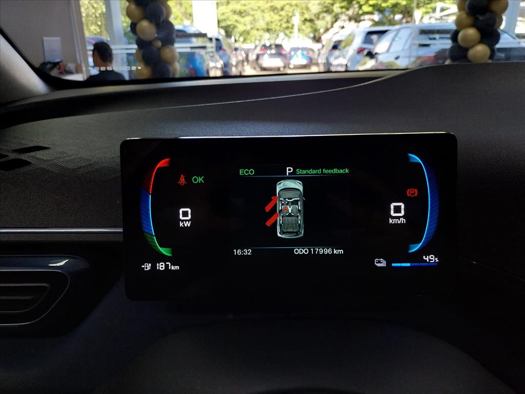 DOLPHIN MINI 38 KW ELÉTRICO9