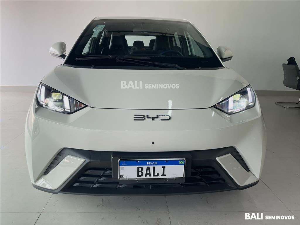 DOLPHIN MINI 38 KW ELÉTRICO 5L2