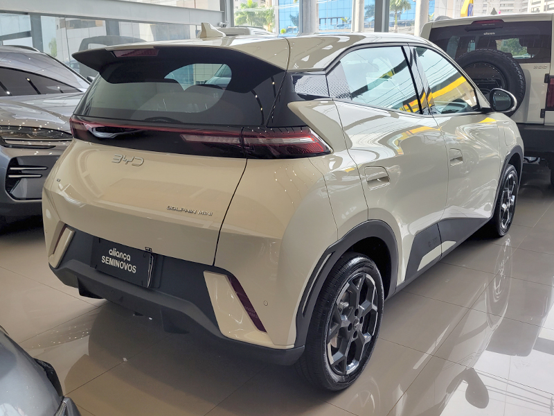 DOLPHIN MINI 38 KW ELÉTRICO GS3