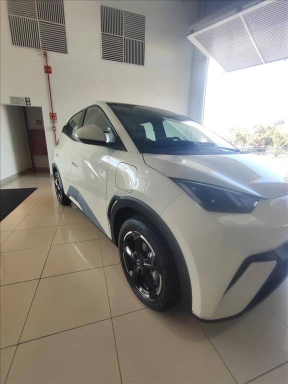 DOLPHIN MINI 38 KW ELÉTRICO3